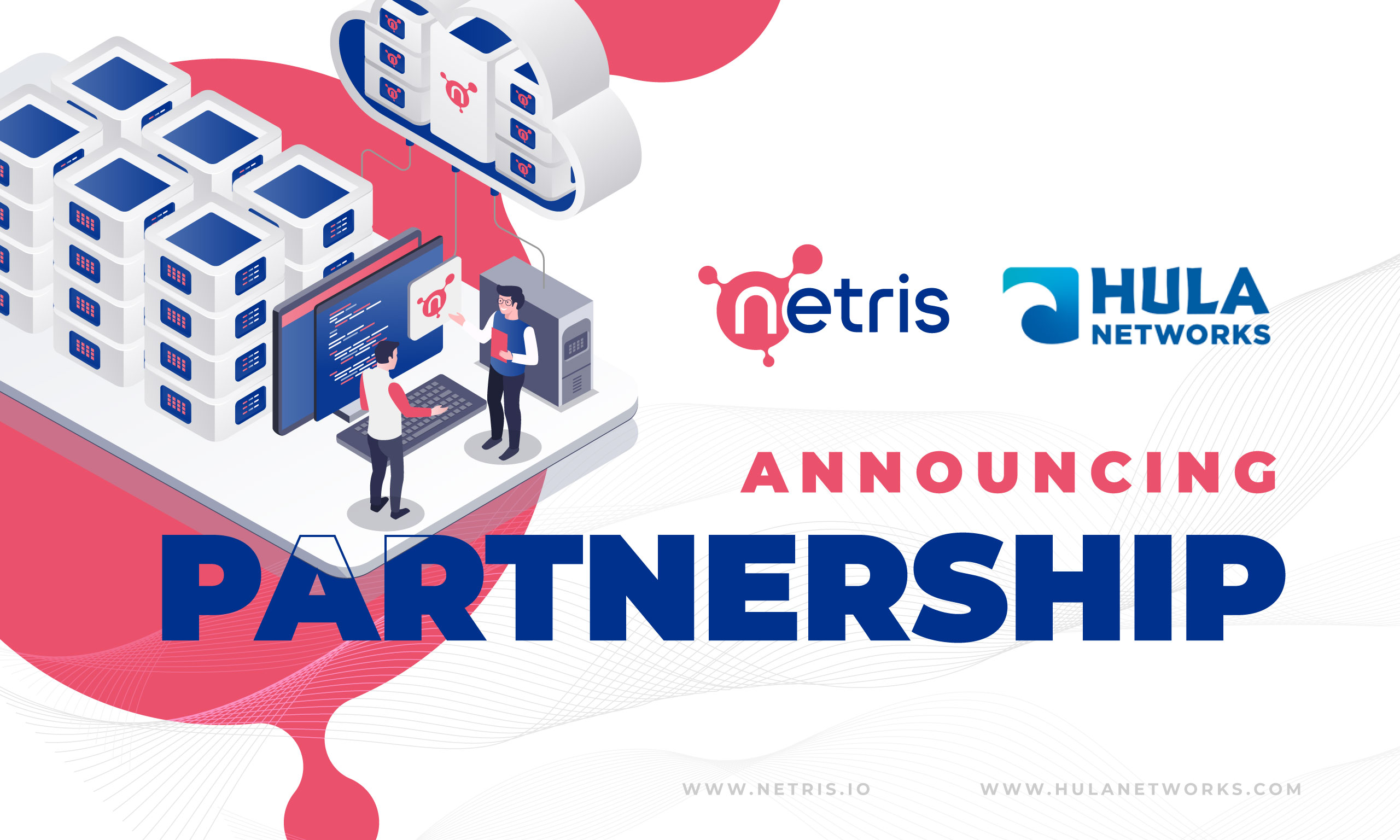 Netris Hula Networks Partnership announcement