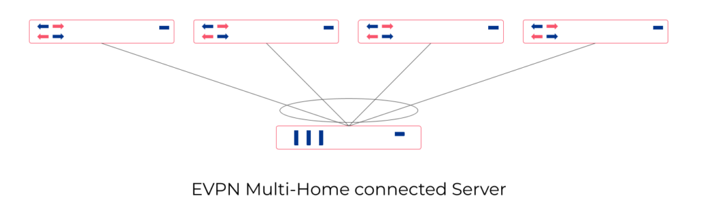 EVPN Multi-Home connected Server